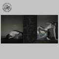 Sofia Isella - Something is a Shell 某種殼 Abraxas Records Exclusive Onxy Color